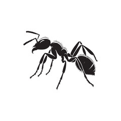 Ant Silhouette Icon. Vector Illustration on White Background.