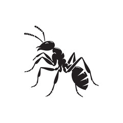 Ant Silhouette Icon. Vector Illustration on White Background.