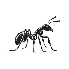 Ant Vector Silhouettes. Black Ants on White Background.