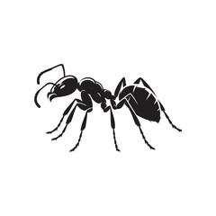 Ant Vector Silhouettes. Black Ants on White Background.