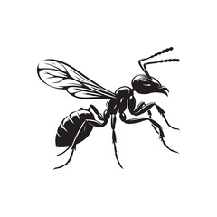 Black Ant Icon Silhouettes. Vector Illustration Design.