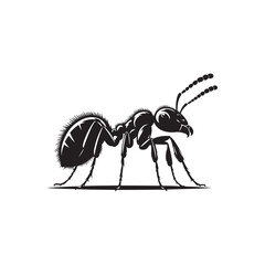 Vector Illustration of Ant Silhouettes. Black Ant Icon.