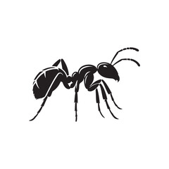 Silhouette of Ant. Vector Black Icon on White Background.