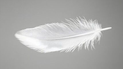 Obraz premium Floating Feather in Minimalist Monochrome Movement with Soft Elegant Atmosphere