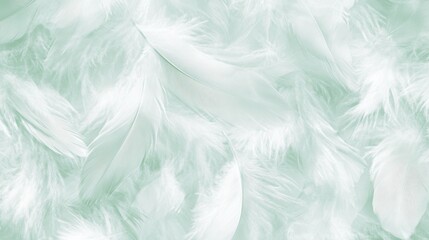 A close-up of soft, white feathers creating a delicate and textured background.