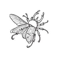 Detailed Beetle Vector Black Isolated on White.