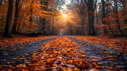 Autumn Pathway Through Colorful Leaves at Sunrise