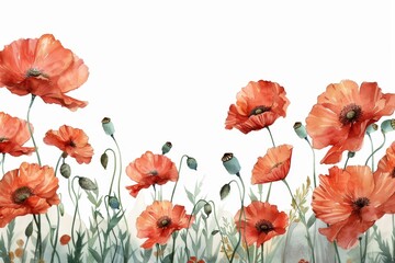 Fototapeta premium Watercolor poppy clipart in various color and angle. frame, copy space. ai generated