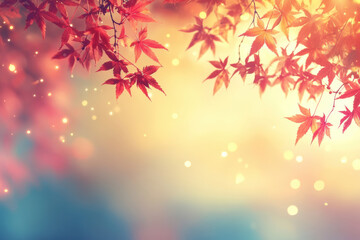 Fototapeta premium Red maple leaves in autumn sunlight