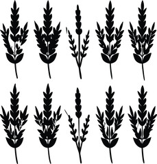 Black Wheat Stalks Silhouettes Vector Illustration Set, Floral Design Elements, Decorative Botanical Art, Isolated on White Background