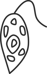 線画微生物単品アイコン　ミドリムシ