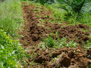 Plow marks from a tractor