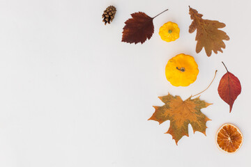 Autumn holiday frame composition with pattern made of leaf, punpkins, dried orange, pine cone on...
