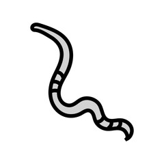 parasite worm color icon vector. parasite worm sign. isolated symbol illustration