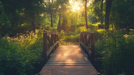 Obraz premium A serene wooden bridge over a tranquil stream in a sunlit, lush green forest.
