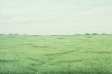 Obraz premium Field backgrounds grassland outdoors.