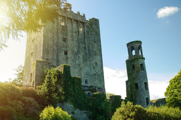 Ivy-Covered Medieval Castle and Tower in Cobh Ireland on a Sunny Day