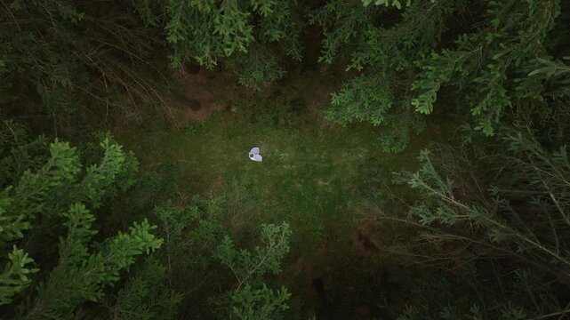 Woman dancing in the forest in a white dress. Mysterious and mysterious atmosphere. Ghost dance from a bird's eye view