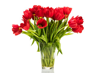 Bunch of red tulips in a glass vase isolated