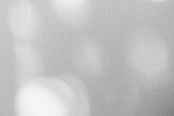 Obraz premium Background White Wall Studio Kitchen with Shadow leaves,Light on Grey Surface,Empty Room Interior Wall Concrete Texture,Backdrop Display for Product Design with Copy Space Taxt Presentation