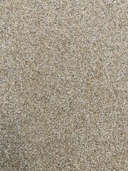 Beach background image