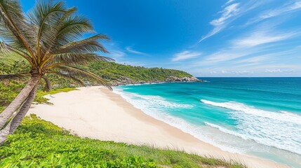 Tropical Beach Paradise.