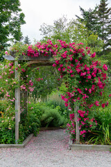 An outdoor wooden curved shaped archway or arbor surrounded by a lush green garden.  The park has...