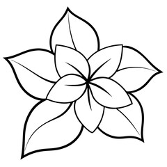 illustration of a flower