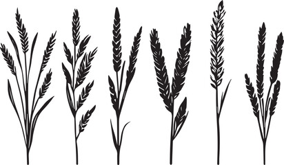 Set of minimalistic flat design wheat silhouettes. Hand drawn vector illustration	