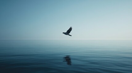 A solitary bird glides over calm waters, reflecting its image on the serene surface.