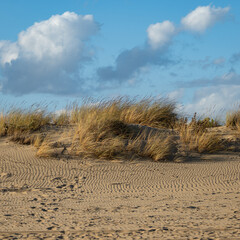 sand dunes at the beach near Isla Christina at the Costa de la Luz in Andalusia