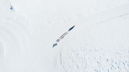 Dog sledding on Glacier 3000, Vaud Canton, Switzerland Winter