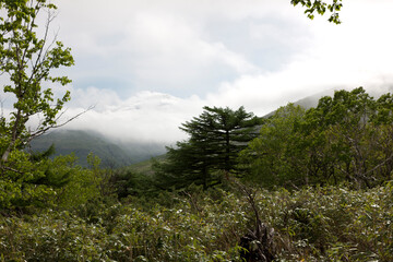 Russia Kuril Islands landscape on a cloudy summer day