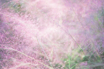 秋の公園の花と人物