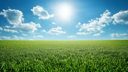 Obraz premium A wide expanse of green pasture glowing in the warmth of a summer day, with a crisp blue sky filled with large, fluffy clouds, evoking a sense of peace and environmental harmony.