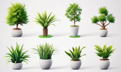 Obraz premium Plant shoot, potted houseplant, tree, grass, 3d cartoon icon set white background