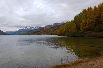 Scenic landscape with mountain panorama and Maloja Lake at Swiss mountain village of Maloja on a cloudy autumn day. Photo taken October 14th, 2024, Maloja, Switzerland.