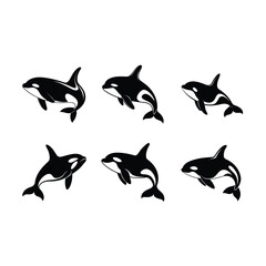 Obraz premium Stylish orca vector art created with generative AI, perfect for graphic design projects.