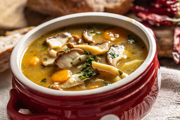 Homemade and tasty soup made from wild mushrooms, bacon, carrots and barley groats