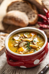 Homemade and tasty soup made from wild mushrooms, bacon, carrots and barley groats