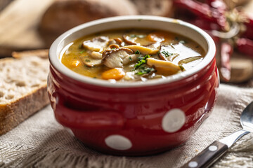 Homemade and tasty soup made from wild mushrooms, bacon, carrots and barley groats