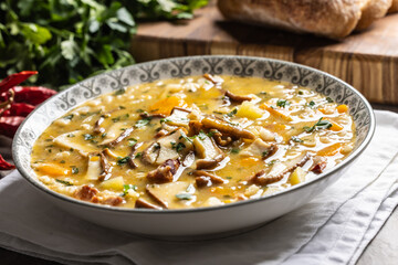 Homemade and tasty soup made from wild mushrooms, bacon, carrots and barley groats
