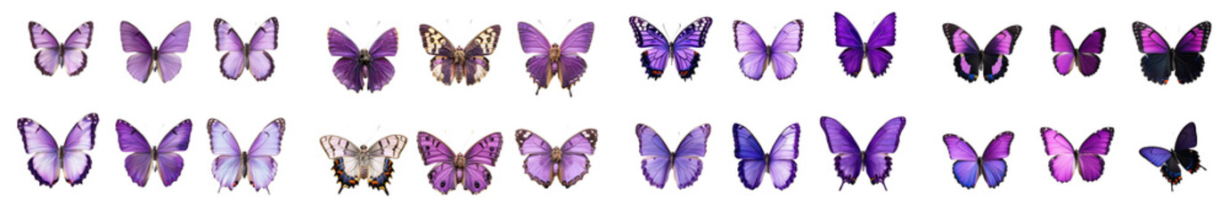 Obraz premium Isolated butterflies in pastel colors on a white background.