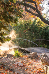 Autumn in the park. Bridge in the park at sunrise. Margaret Island (Margit-sziget island). Budapest, Hungary