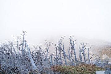Owakudani seen from the ropeway in Hakone