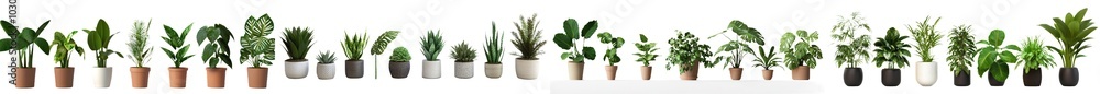 Poster three-dimensional rendering of plants in ceramic pots on transparent background.