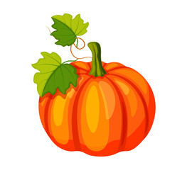 Pumpkin in cartoon style. Vector illustration of whole fresh pumpkin with wavy tendril, stem, green leaves isolated on white background. Autumn harvest. Useful products.