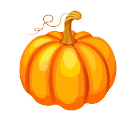 Orange pumpkin in cartoon style. Vector illustration of a whole pumpkin with a wavy tendril, stem isolated on a white background. Autumn harvest. Healthy.