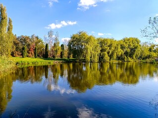 A body of water surrounded by trees and grass