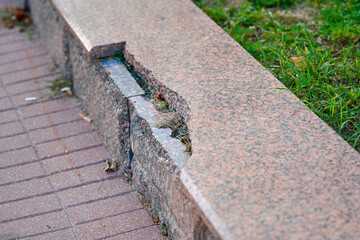 Damaged granite stone border surrounding flower bed in the city street. Granite stone with visible damage and chipped areas..